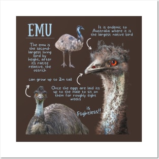 Animal Facts- Emu Posters and Art